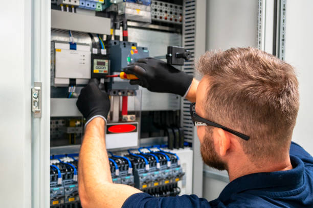 Best Electric Panel Repair  in Celebration, FL
